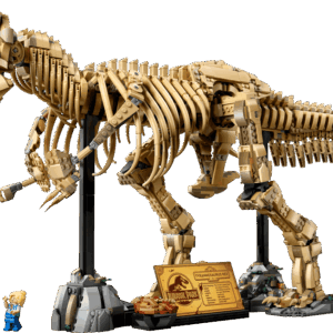 The official packaging art highlighting the massive sand colored skeleton build of the Dinosaur Fossils Trex set mounted on a museum display stand against a dark premium backdrop