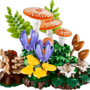 Woodland Mushrooms