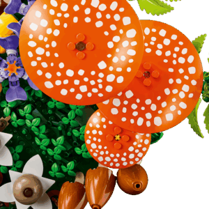 Alternative view of Woodland Mushrooms